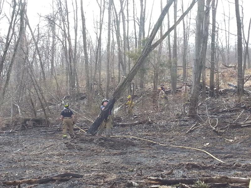 Brush Fire 4/19/14 - at 555 Bentzel Rd Warrington Township. Burnt 1.5 Acres. Photo by J. Albert