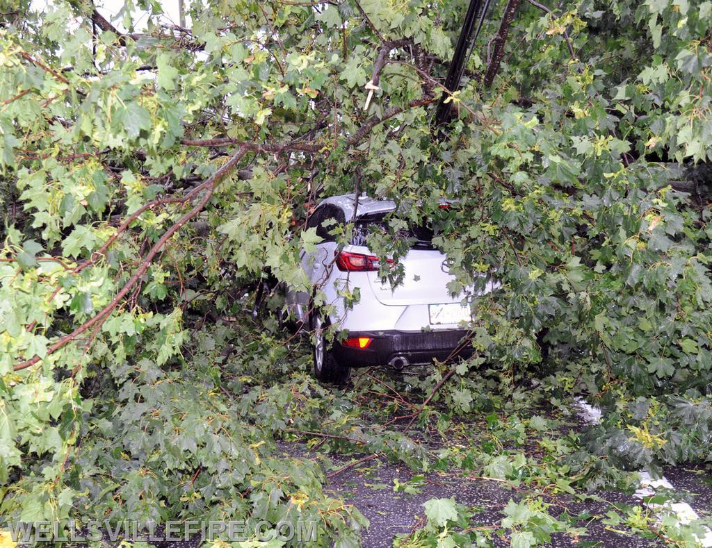 On Wednesday, August 11, during the rain storm a vehicle ran into a down tree across the intersection of Carlisle Road and Kralltown Road.  photos by curt werner