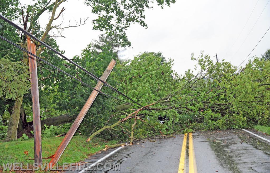 On Wednesday, August 11, during the rain storm a vehicle ran into a down tree across the intersection of Carlisle Road and Kralltown Road.  photos by curt werner