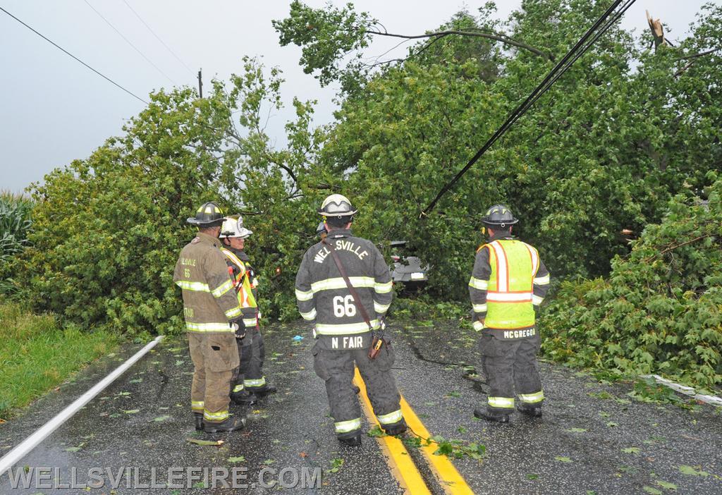 On Wednesday, August 11, during the rain storm a vehicle ran into a down tree across the intersection of Carlisle Road and Kralltown Road.  photos by curt werner