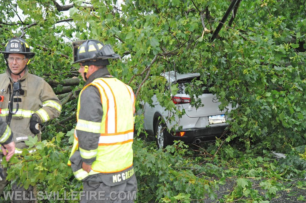 On Wednesday, August 11, during the rain storm a vehicle ran into a down tree across the intersection of Carlisle Road and Kralltown Road.  photos by curt werner