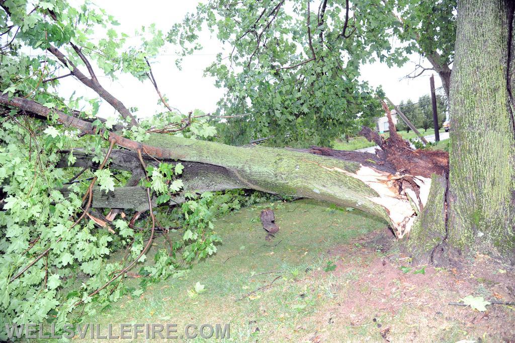 On Wednesday, August 11, during the rain storm a vehicle ran into a down tree across the intersection of Carlisle Road and Kralltown Road.  photos by curt werner