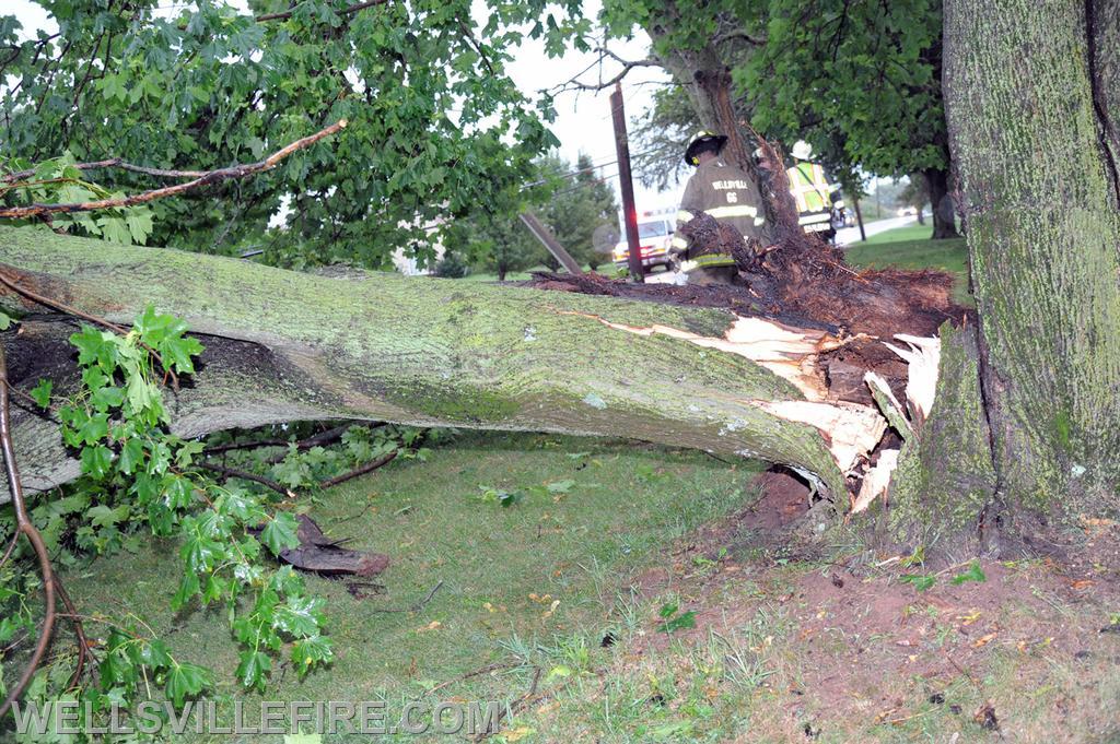 On Wednesday, August 11, during the rain storm a vehicle ran into a down tree across the intersection of Carlisle Road and Kralltown Road.  photos by curt werner