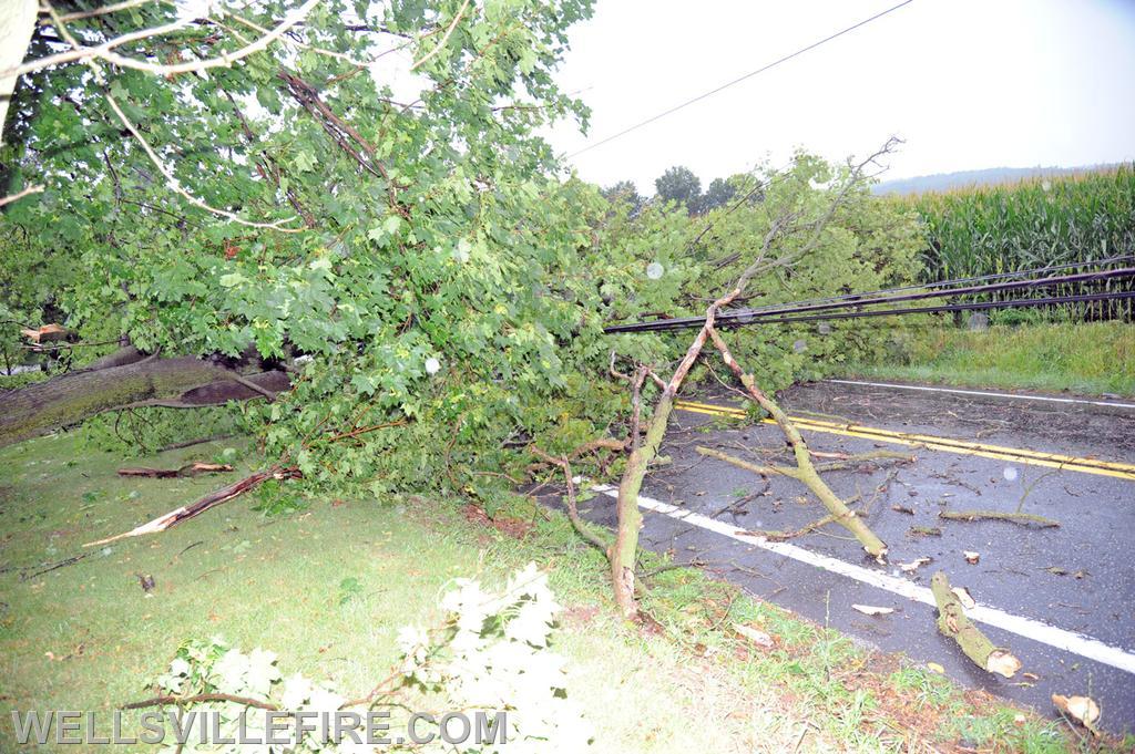 On Wednesday, August 11, during the rain storm a vehicle ran into a down tree across the intersection of Carlisle Road and Kralltown Road.  photos by curt werner