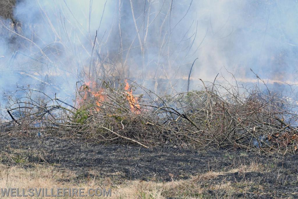 Wednesday, March 11, brush fire on Farm Valley Road, Warrington Township.  photos by curt werner