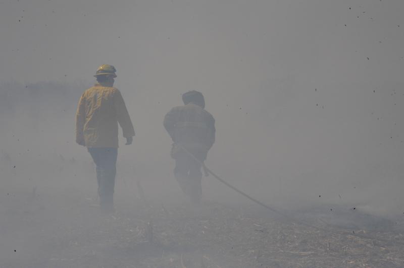 Brush fire in Washington Township on 4/2/15. photo by curt werner