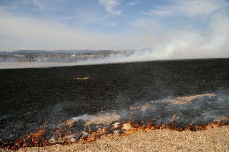 Brush fire in Washington Township on 4/2/15. photo by curt werner
