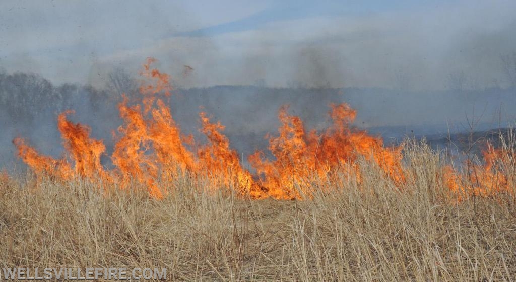 3/30/19, Brush fire along Old York Road, Warrington Township.  photos by curt werner
