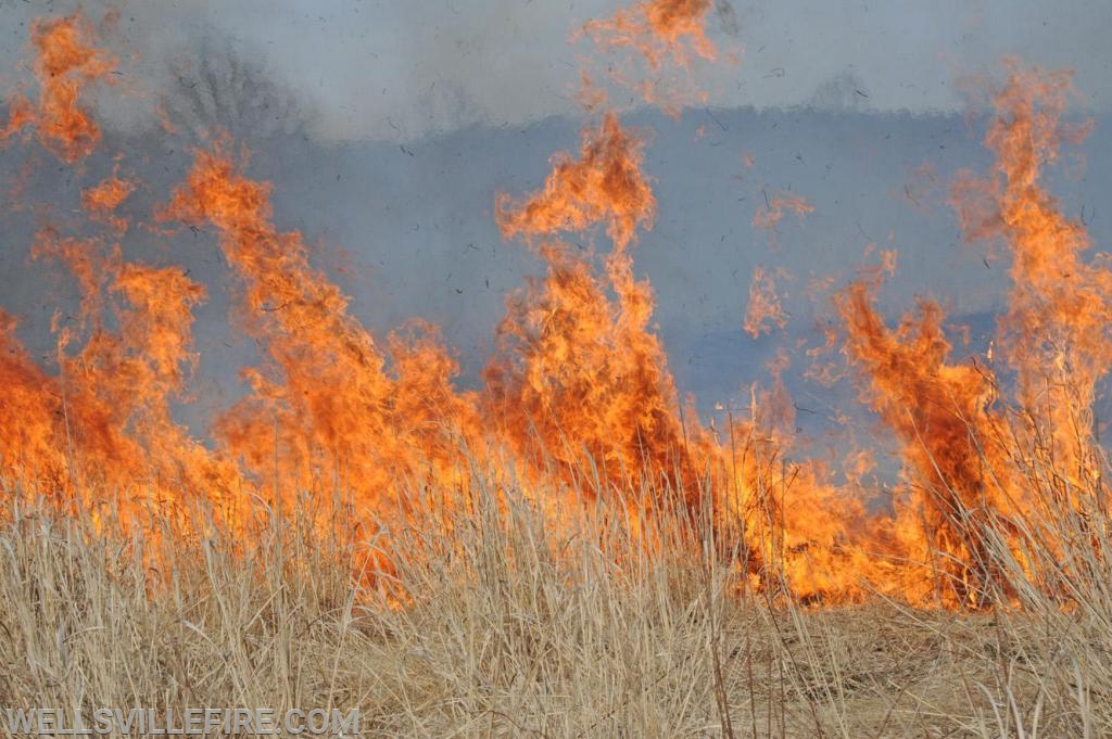 3/30/19, Brush fire along Old York Road, Warrington Township.  photos by curt werner