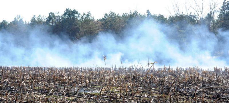 Brush fire in a corn field Franklin Township on Saturday, November 22.  Photos by Curt Werner
