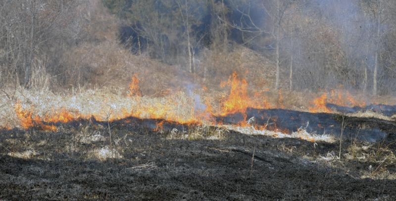 Brush fire on York Road, Thursday, March 19.  photos by Curt Werner