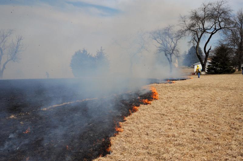 Brush fire in Washington Township on 4/2/15. photo by curt werner