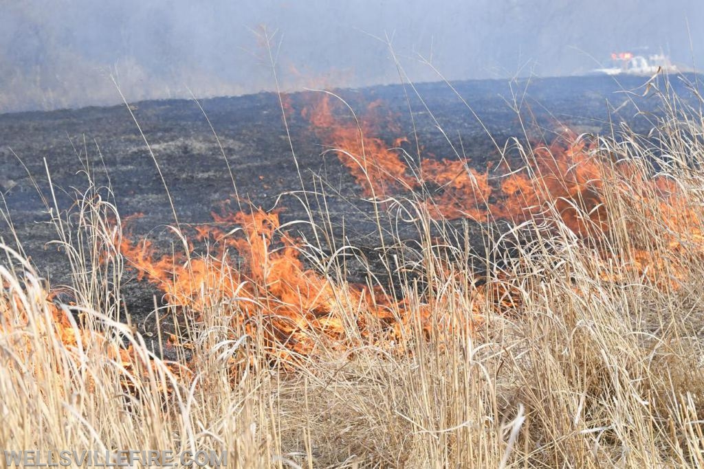 3/30/19, Brush fire along Old York Road, Warrington Township.  photos by curt werner