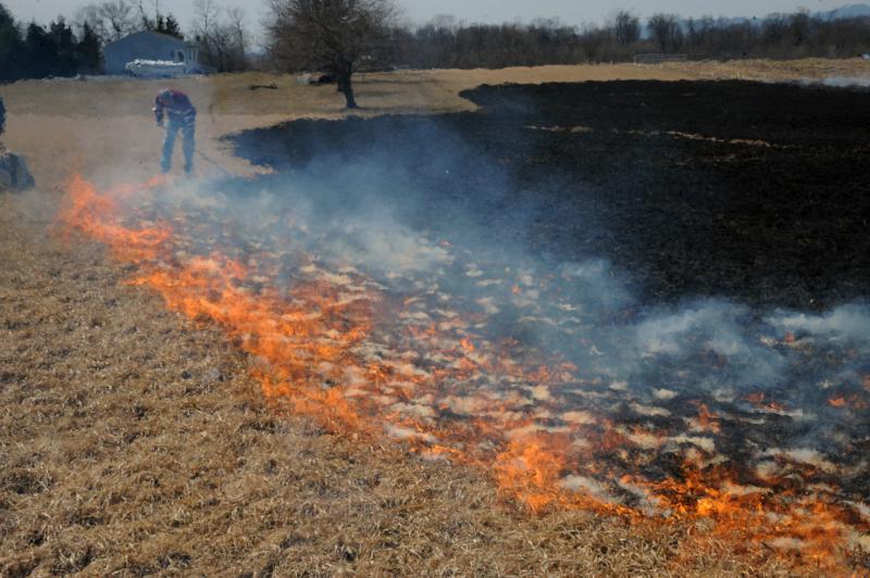 Brush fire in Washington Township on 4/2/15. photo by curt werner