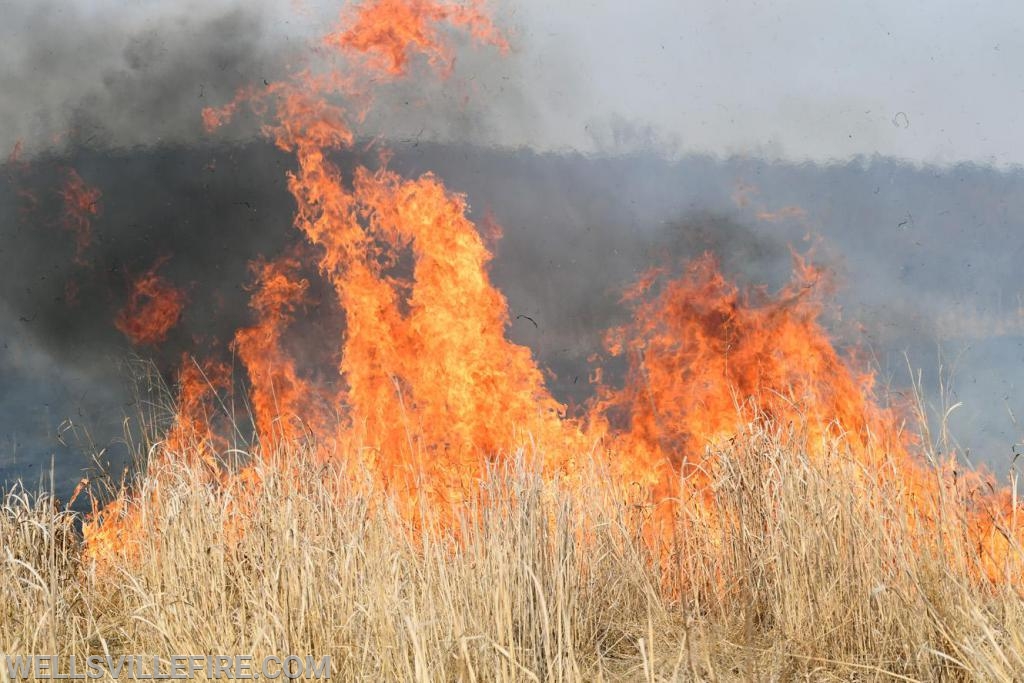 3/30/19, Brush fire along Old York Road, Warrington Township.  photos by curt werner