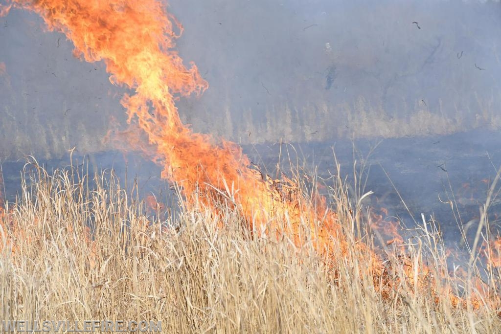 3/30/19, Brush fire along Old York Road, Warrington Township.  photos by curt werner