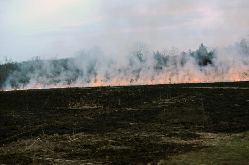 Controlled burn on 03/31/16.  photo by curt werner
