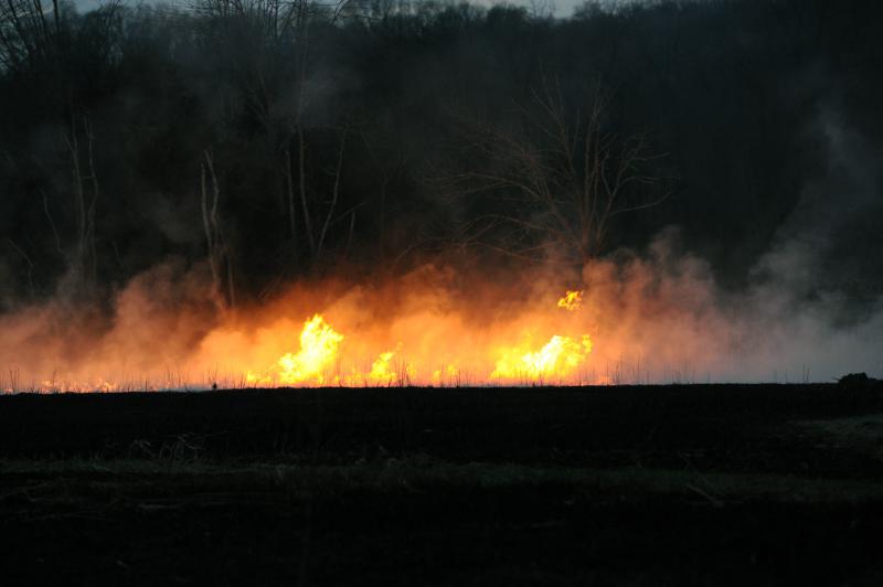 Controlled burn on 03/31/16.  photo by curt werner