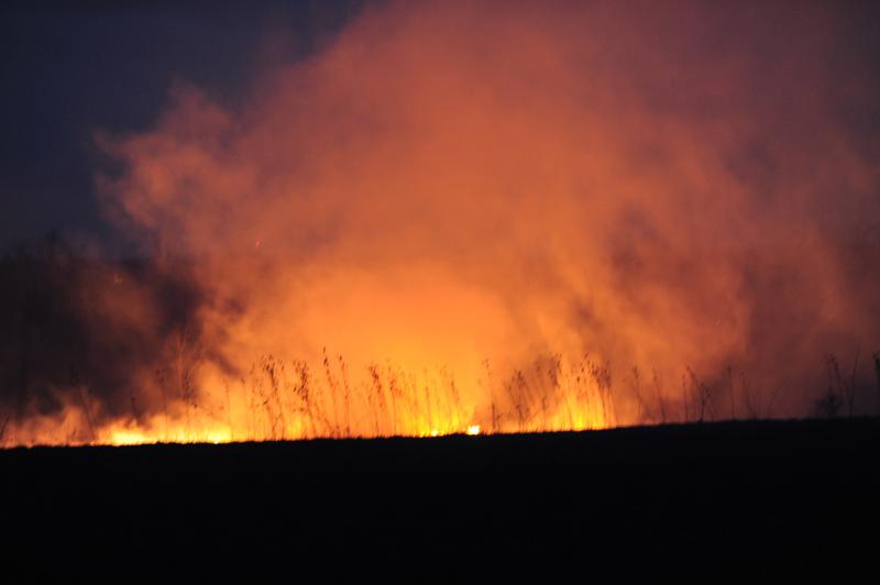 Controlled burn on 03/31/16.  photo by curt werner