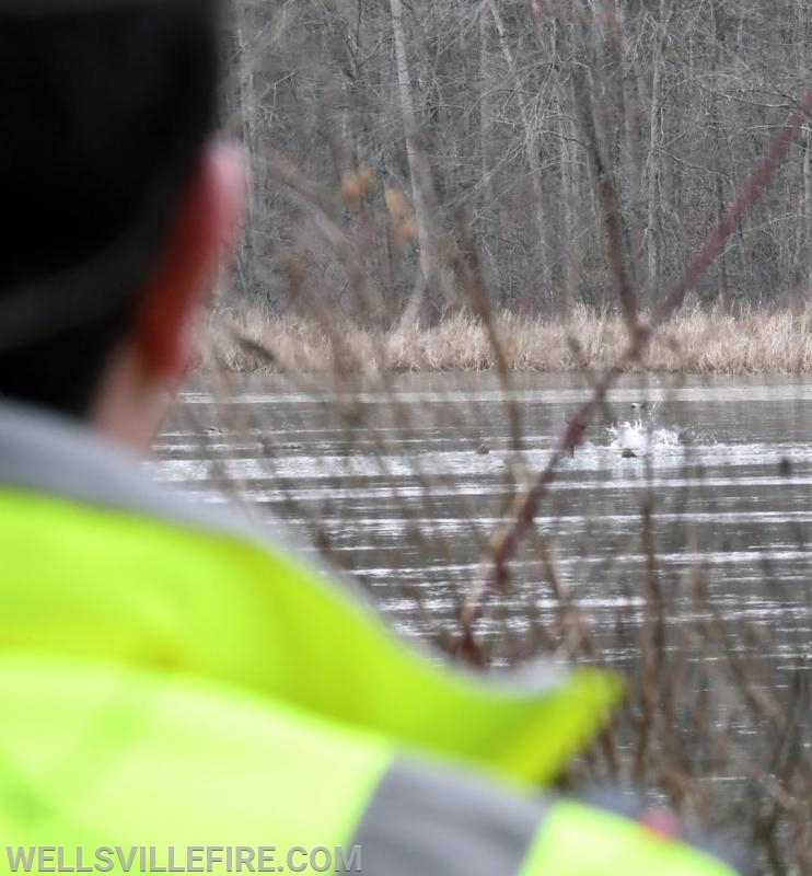 1/12/19 Deer rescue, Wellsville Fire Company, Pa. Game Commission and DCNR.  photos by curt werner 