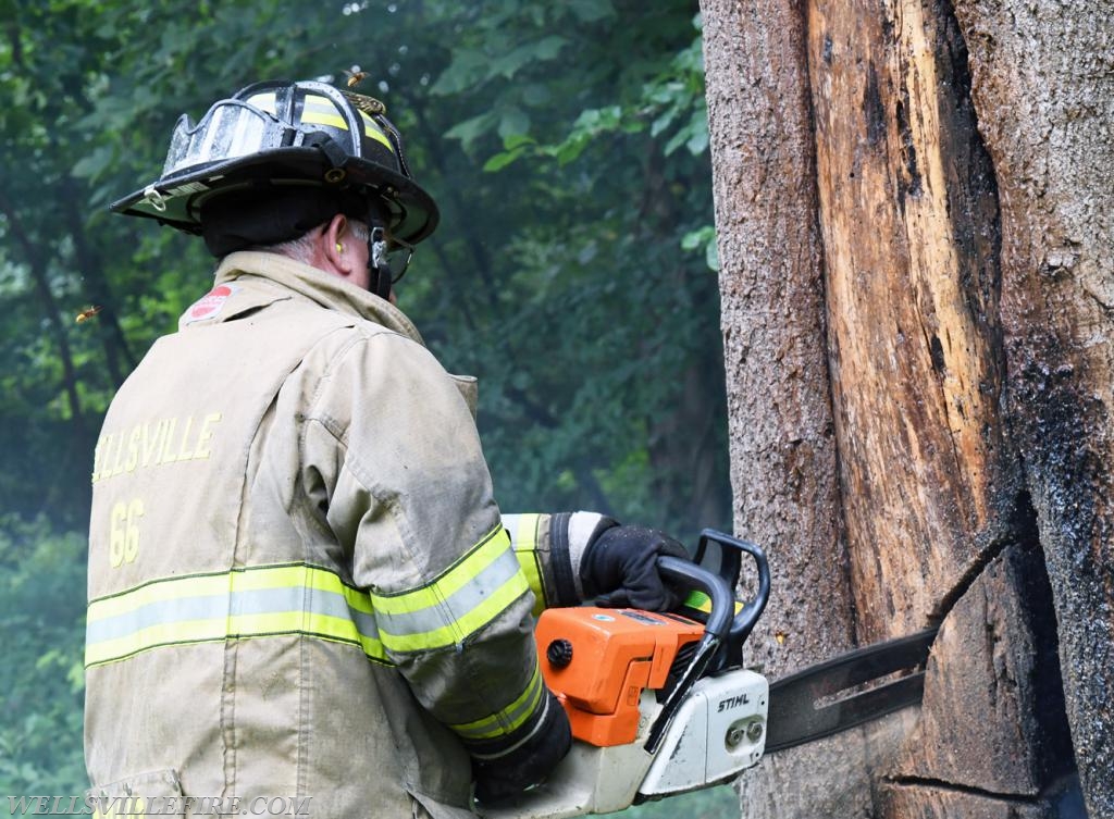 Monday, July 30, tree fire with a hornets nest in the 2600 block of Rosstown Road, Warrington Township. photos by curt werner
