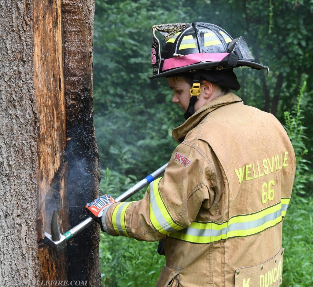 Monday, July 30, tree fire with a hornets nest in the 2600 block of Rosstown Road, Warrington Township. photos by curt werner