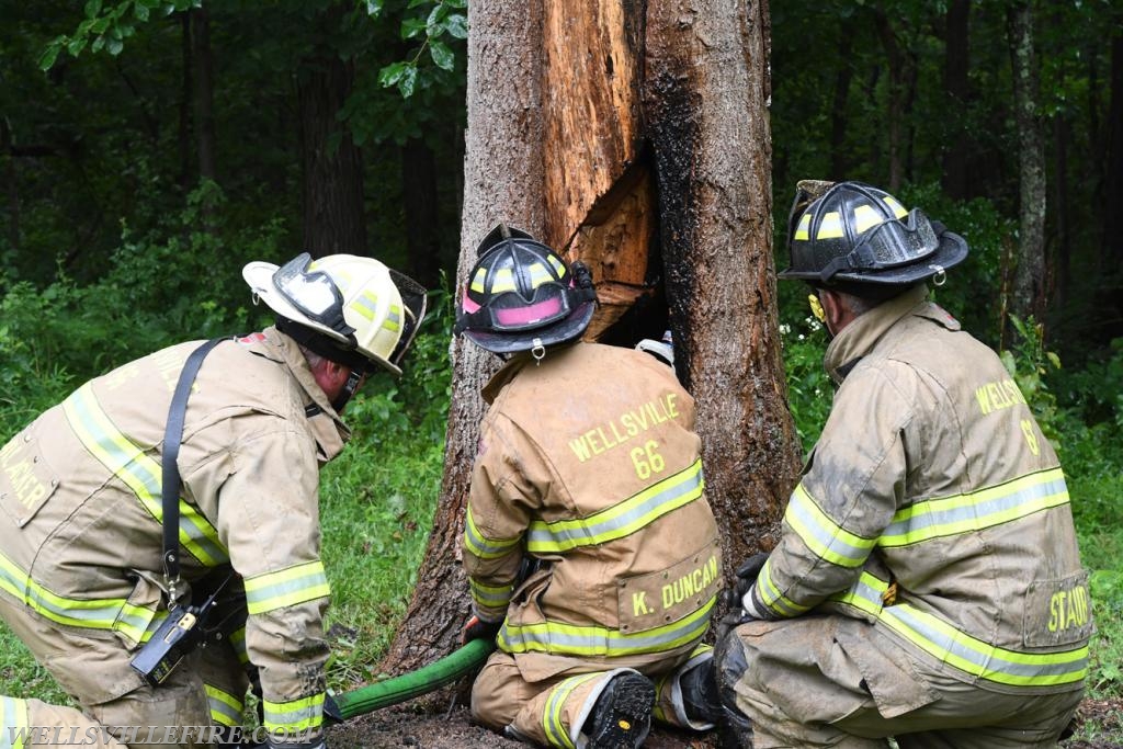 Monday, July 30, tree fire with a hornets nest in the 2600 block of Rosstown Road, Warrington Township. photos by curt werner