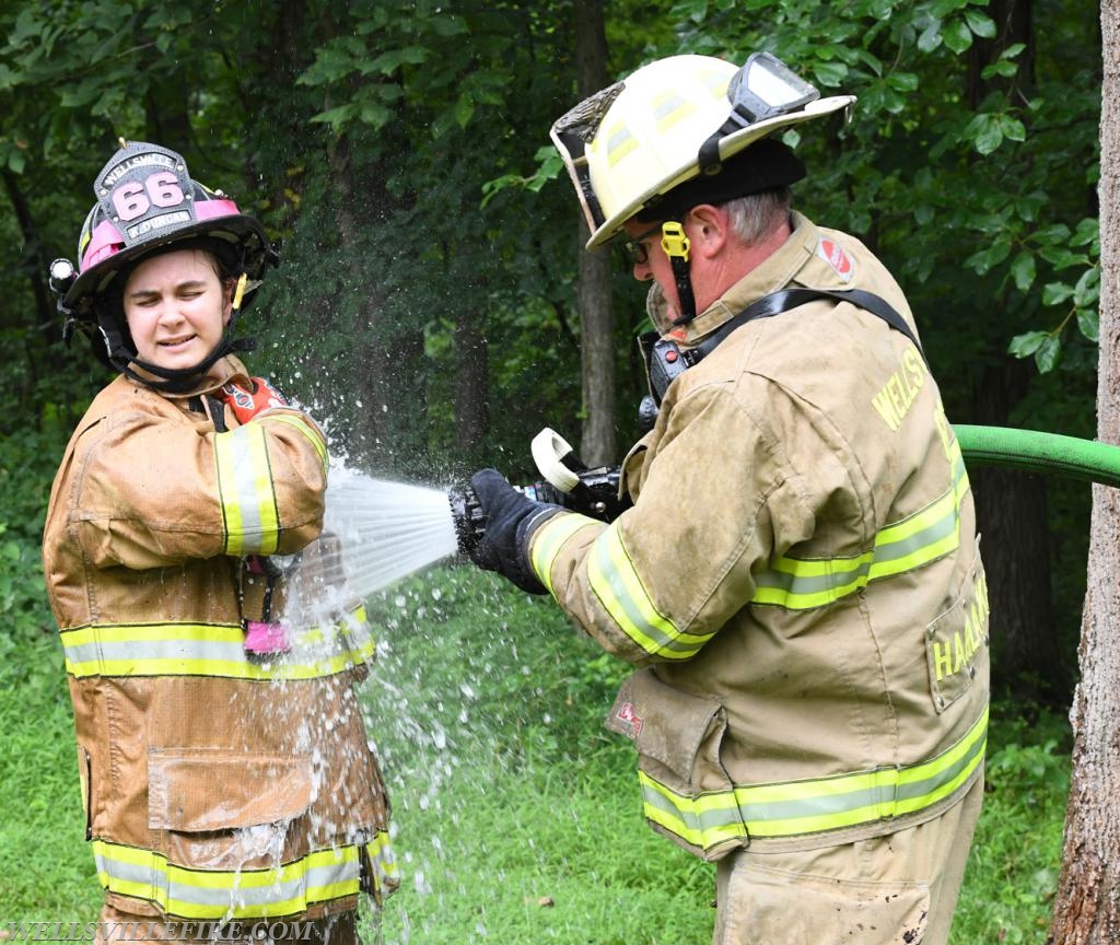 Monday, July 30, tree fire with a hornets nest in the 2600 block of Rosstown Road, Warrington Township. photos by curt werner