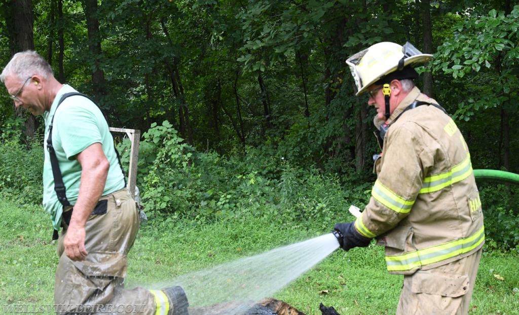 Monday, July 30, tree fire with a hornets nest in the 2600 block of Rosstown Road, Warrington Township. photos by curt werner