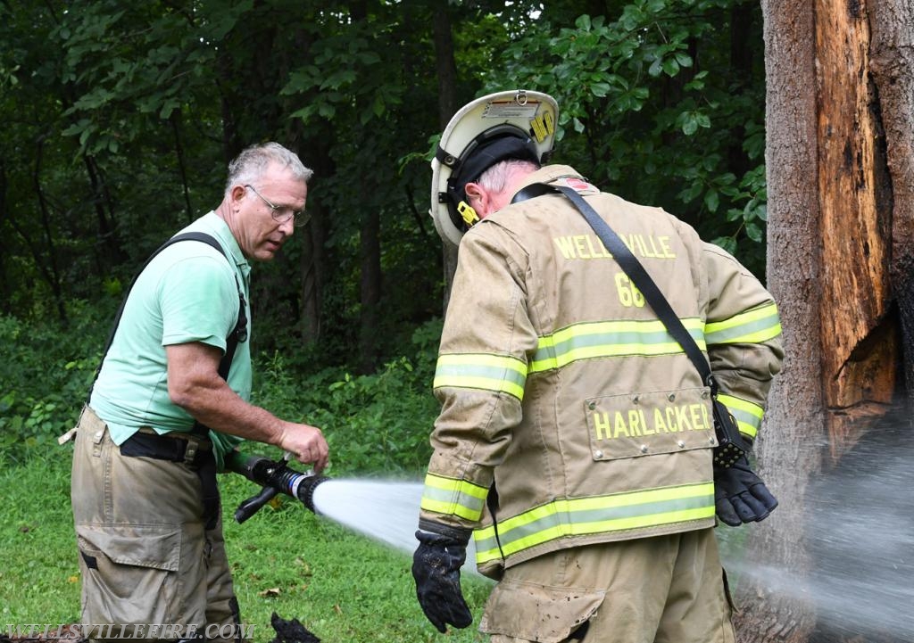 Monday, July 30, tree fire with a hornets nest in the 2600 block of Rosstown Road, Warrington Township. photos by curt werner