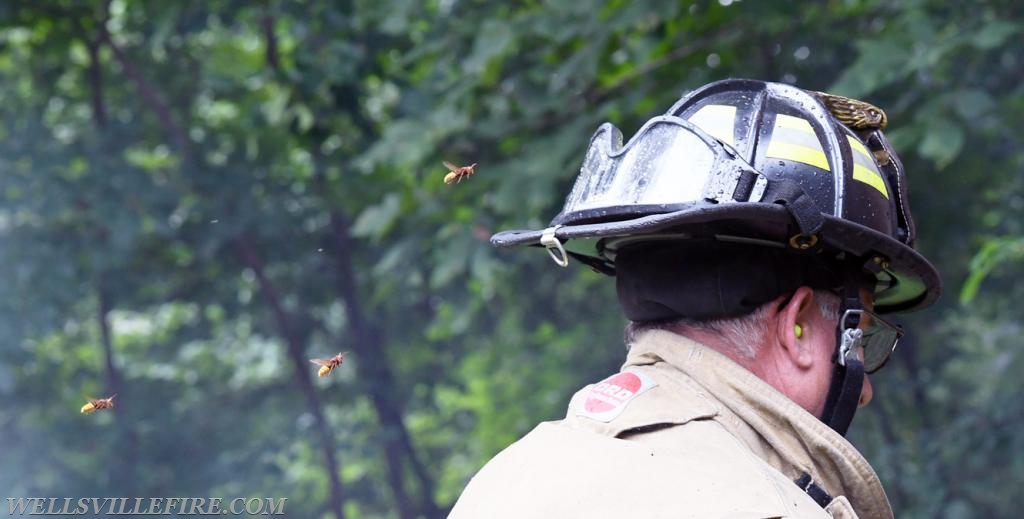 Monday, July 30, tree fire with a hornets nest in the 2600 block of Rosstown Road, Warrington Township. photos by curt werner