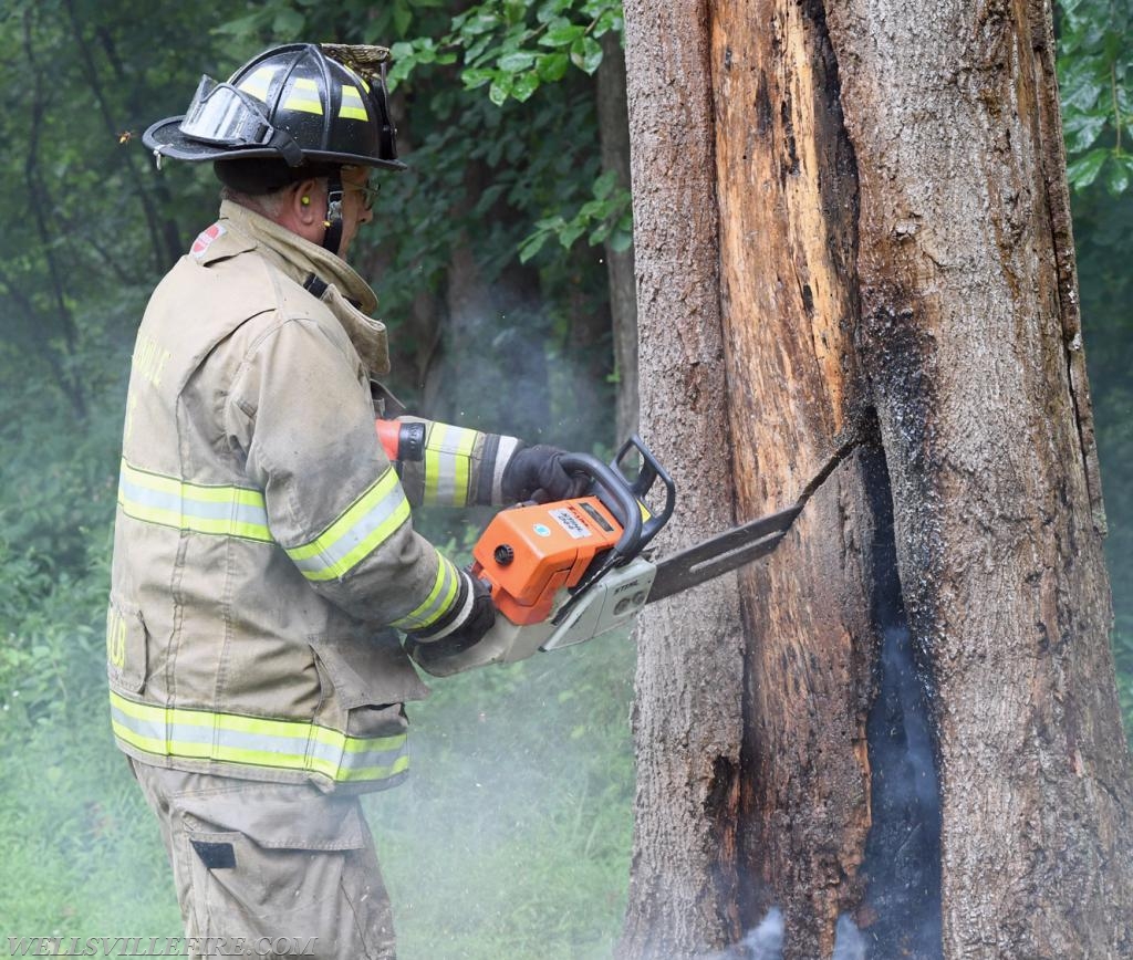 Monday, July 30, tree fire with a hornets nest in the 2600 block of Rosstown Road, Warrington Township. photos by curt werner