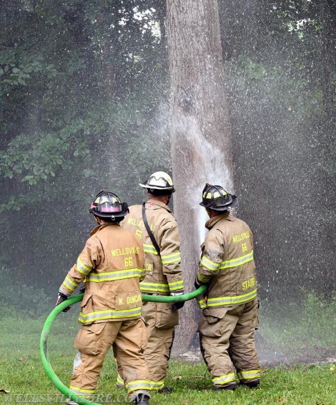 Monday, July 30, tree fire with a hornets nest in the 2600 block of Rosstown Road, Warrington Township. photos by curt werner