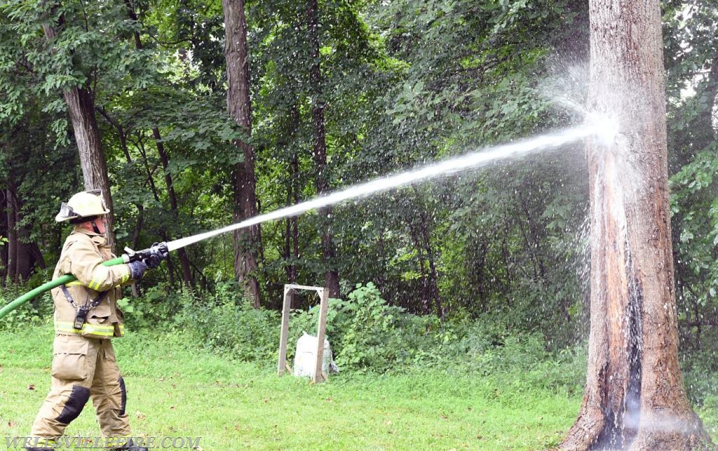 Monday, July 30, tree fire with a hornets nest in the 2600 block of Rosstown Road, Warrington Township. photos by curt werner