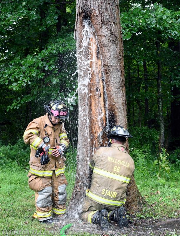 Monday, July 30, tree fire with a hornets nest in the 2600 block of Rosstown Road, Warrington Township. photos by curt werner