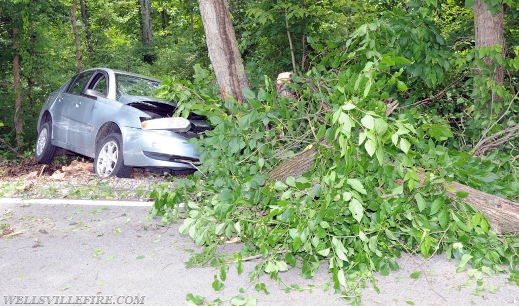 Car into tree on Lisburn Road on Monday, June 25.  photos by Curt Werner
