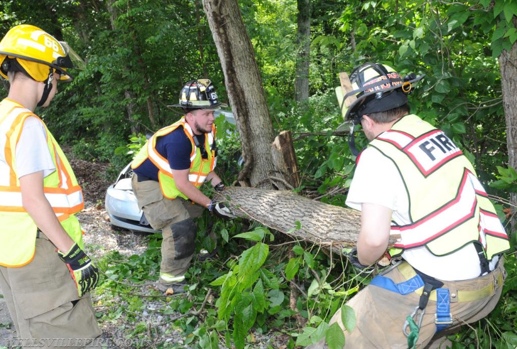 Car into tree on Lisburn Road on Monday, June 25.  photos by Curt Werner