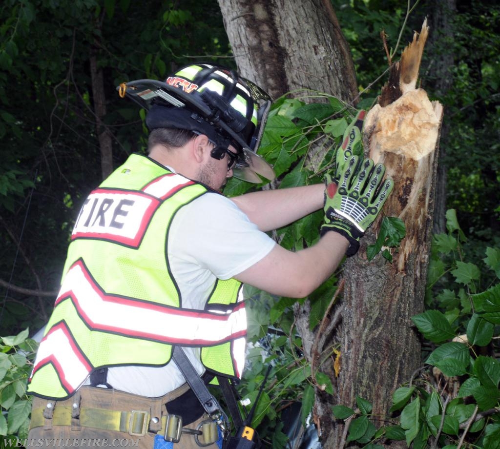 Car into tree on Lisburn Road on Monday, June 25.  photos by Curt Werner