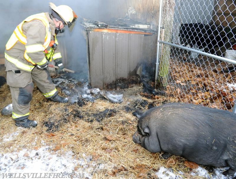 Shed fire with pig on January 6.  Rossville rd and Carlisle Road. Pork sandwiches served afterward, kidding.  photo by curt werner
