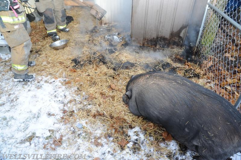 Shed fire with pig on January 6.  Rossville rd and Carlisle Road. Pork sandwiches served afterward, kidding.  photo by curt werner