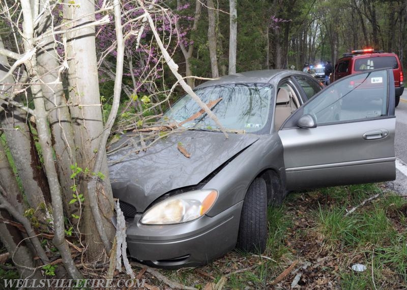 4/25/17, vehicle into trees on Pinetown Road.  photos by Curt Werner
