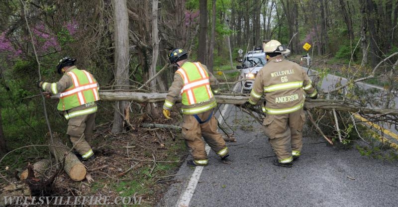 4/25/17, vehicle into trees on Pinetown Road.  photos by Curt Werner