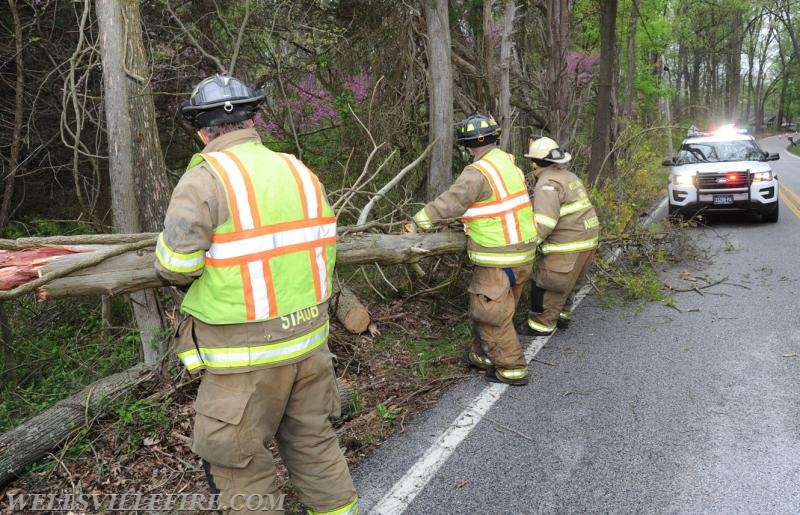 4/25/17, vehicle into trees on Pinetown Road.  photos by Curt Werner