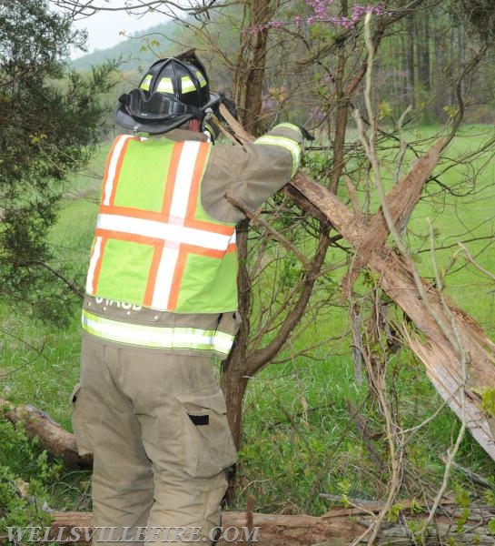 4/25/17, vehicle into trees on Pinetown Road.  photos by Curt Werner