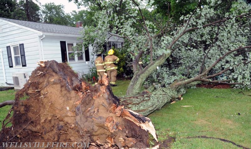 On Tuesday, June 28, 4:01 p.m., Wellsville Fire Company responded to a large tree knocked down by high winds in Warrington Township, Poplar Road.  The tree just missed falling into the house.  No injuries.   Photos by Curt Werner
