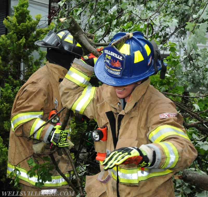 On Tuesday, June 28, 4:01 p.m., Wellsville Fire Company responded to a large tree knocked down by high winds in Warrington Township, Poplar Road.  The tree just missed falling into the house.  No injuries.   Photos by Curt Werner