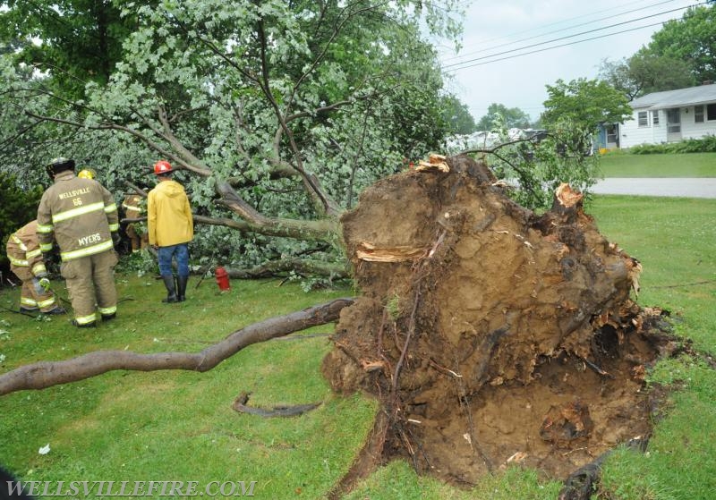 On Tuesday, June 28, 4:01 p.m., Wellsville Fire Company responded to a large tree knocked down by high winds in Warrington Township, Poplar Road.  The tree just missed falling into the house.  No injuries.   Photos by Curt Werner