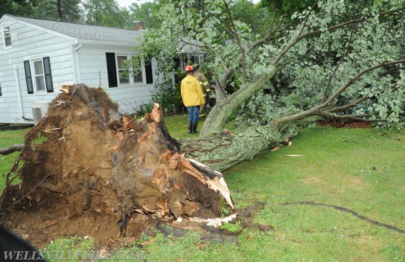 On Tuesday, June 28, 4:01 p.m., Wellsville Fire Company responded to a large tree knocked down by high winds in Warrington Township, Poplar Road.  The tree just missed falling into the house.  No injuries.   Photos by Curt Werner