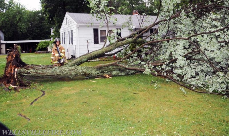 On Tuesday, June 28, 4:01 p.m., Wellsville Fire Company responded to a large tree knocked down by high winds in Warrington Township, Poplar Road.  The tree just missed falling into the house.  No injuries.   Photos by Curt Werner