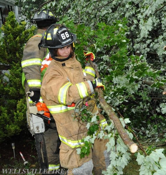 On Tuesday, June 28, 4:01 p.m., Wellsville Fire Company responded to a large tree knocked down by high winds in Warrington Township, Poplar Road.  The tree just missed falling into the house.  No injuries.   Photos by Curt Werner